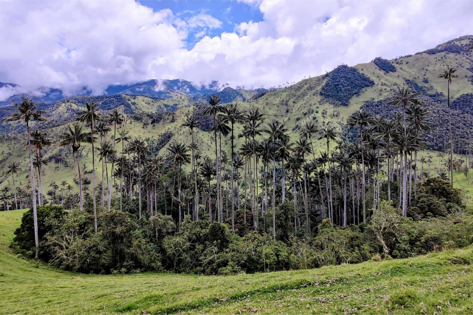 Trip SpainOnPoints Colombia